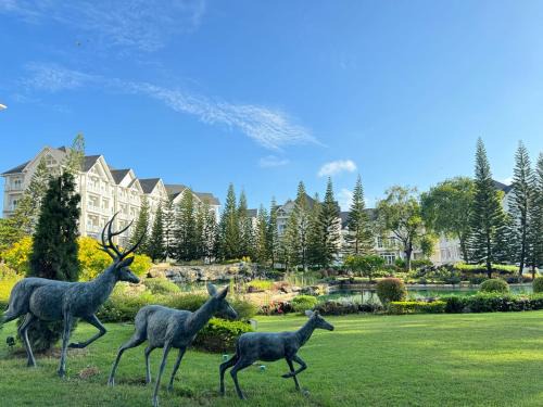 Nong Nam Daeng Apartment | Private Condo Middle in Khaoyai for 2-4 People & Family