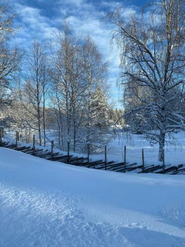Ljordal House | Renovated Cabin With Views In Trysil