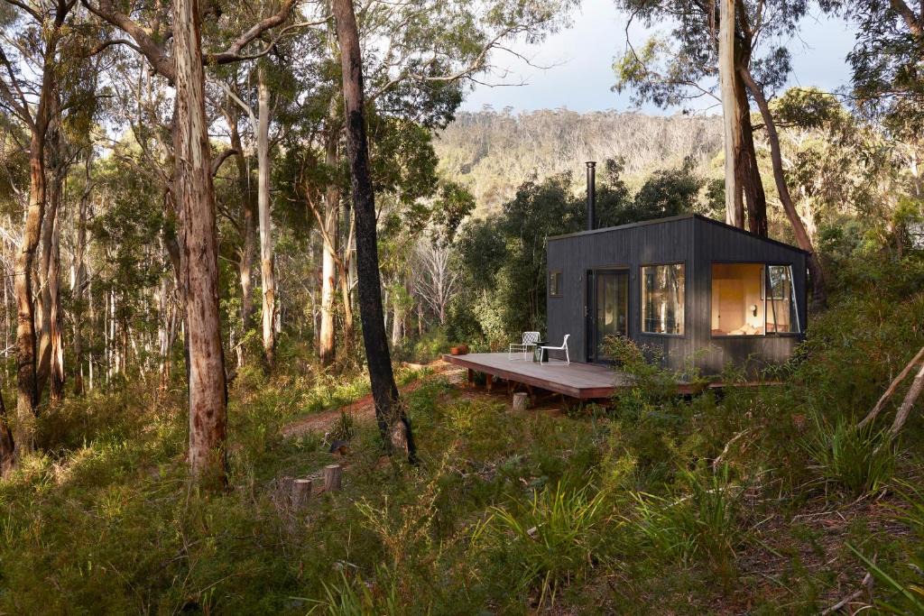 Reidsdale Cabin | Ribbon Gum Retreat