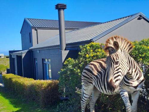 Gansbaai House | Romansbaai Beach House