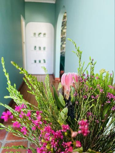 Rondebosch Apartment | Rondebosch Cottage