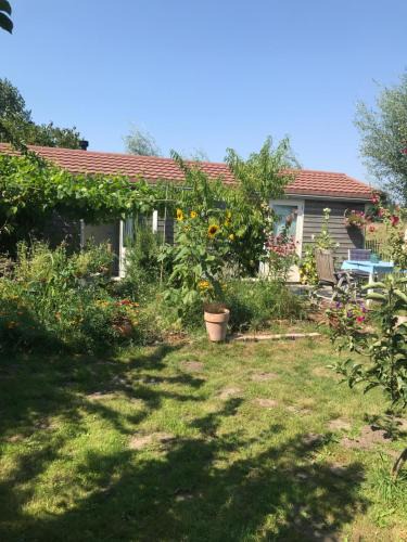 Schoorldam Resort | Rosa's zonnige huisje bij duinen bos en strand