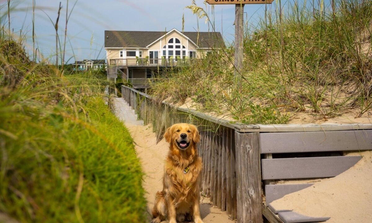 Carova Beach House | Sandy Paws | 6BR Oceanfront 4x4 OBX | Pool, Elevator & Game Room | Sleeps 14