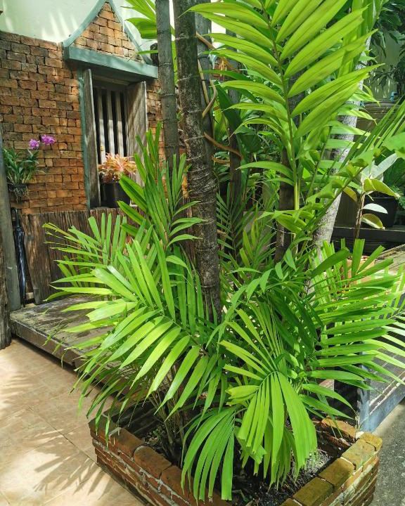Wachira Phayaban House | Sri Ayuttaya Guesthouse