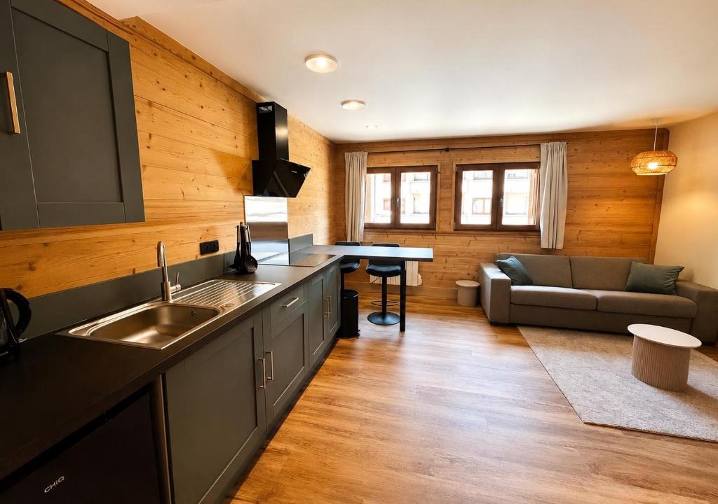 Faverges-Seythenex Apartment | Studio in the heart of the city - Close to the lake and the mountains