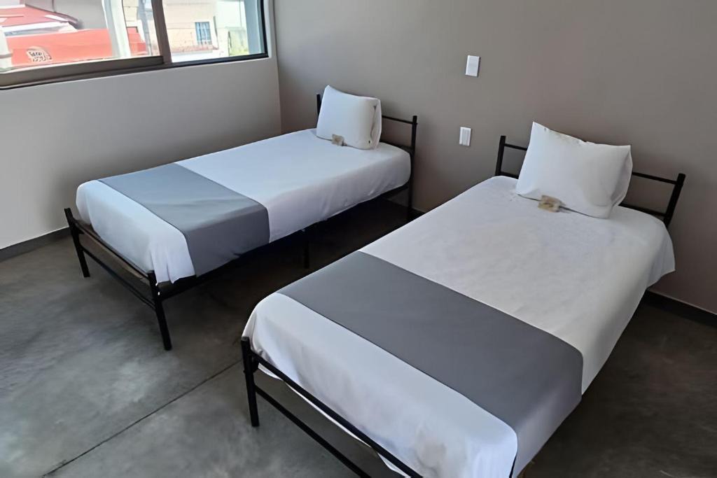 Centro Apartment | SUITE DALIA, AA, cocineta, baño privado, ubicación