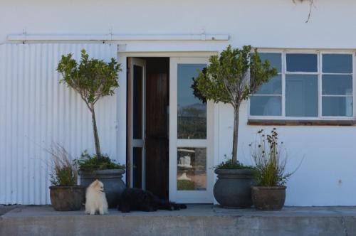Koelenhof Apartment | The Old Dairy at Allemanskloof