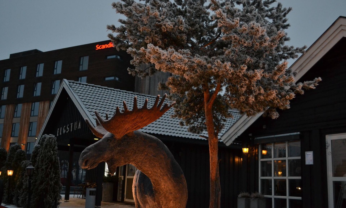 Loten Municipality Hotel | Thon Hotel Elgstua