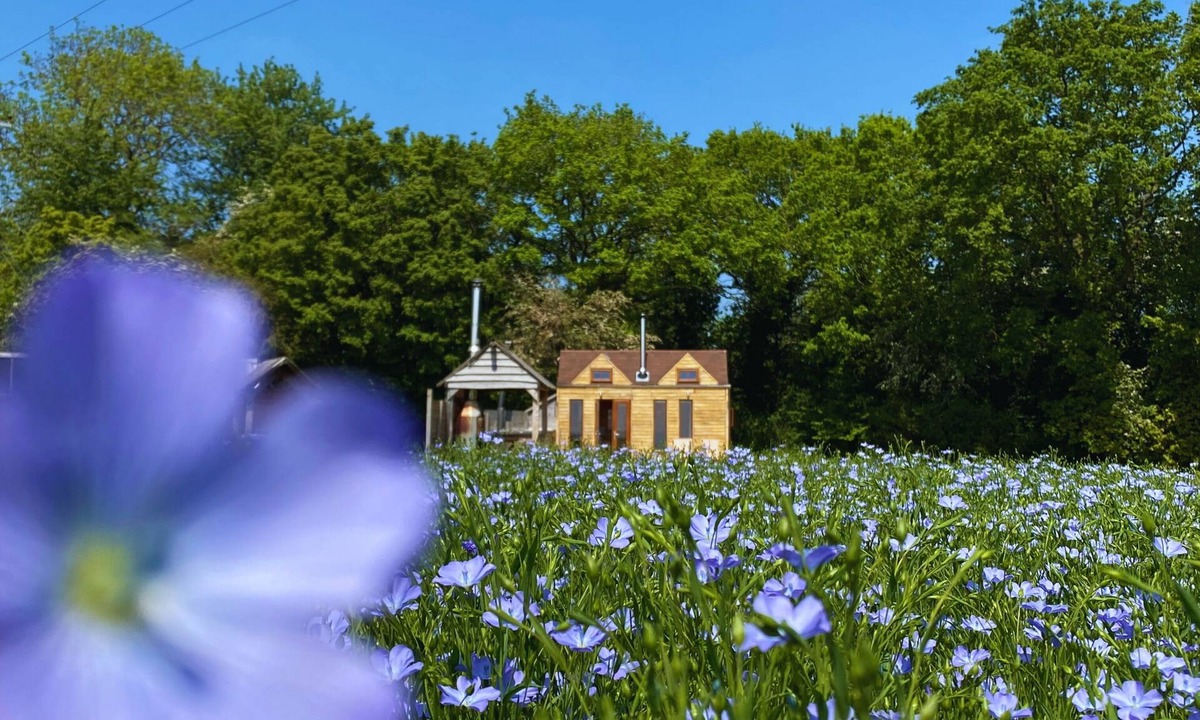 Maidwell Cabin | Tinywood Two, dog friendly with hot tub, sleeps six people in Warwick