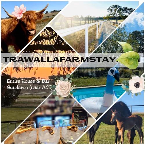 Gundaroo House | Trawalla Farm Stays - Entire House and Large Pool Bar - Perfect for Groups