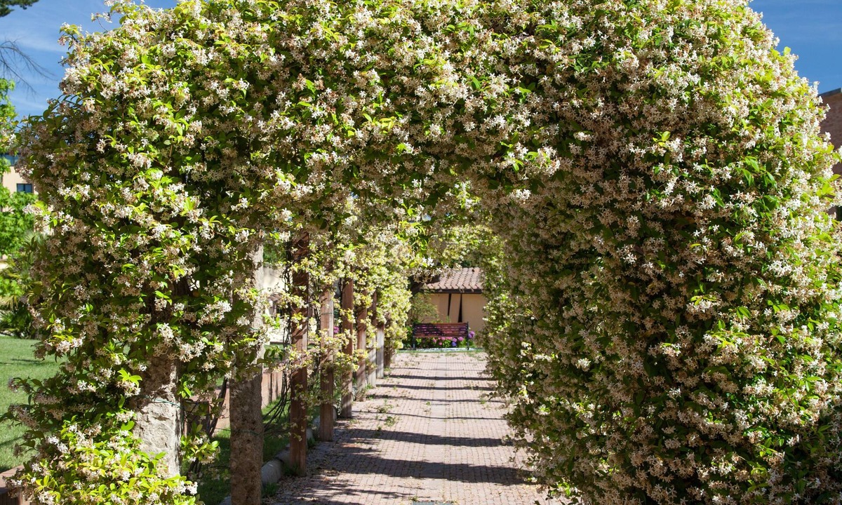 Casciana Terme Resort | Villa Borri Terme
