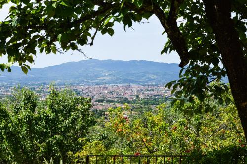 Pistoia Apartment | Villa Pacinotti