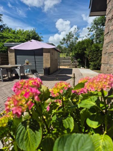 Aartswoud Villa | Vogelrijk 24, Top voor familie, dichtbij Zee en Amsterdam