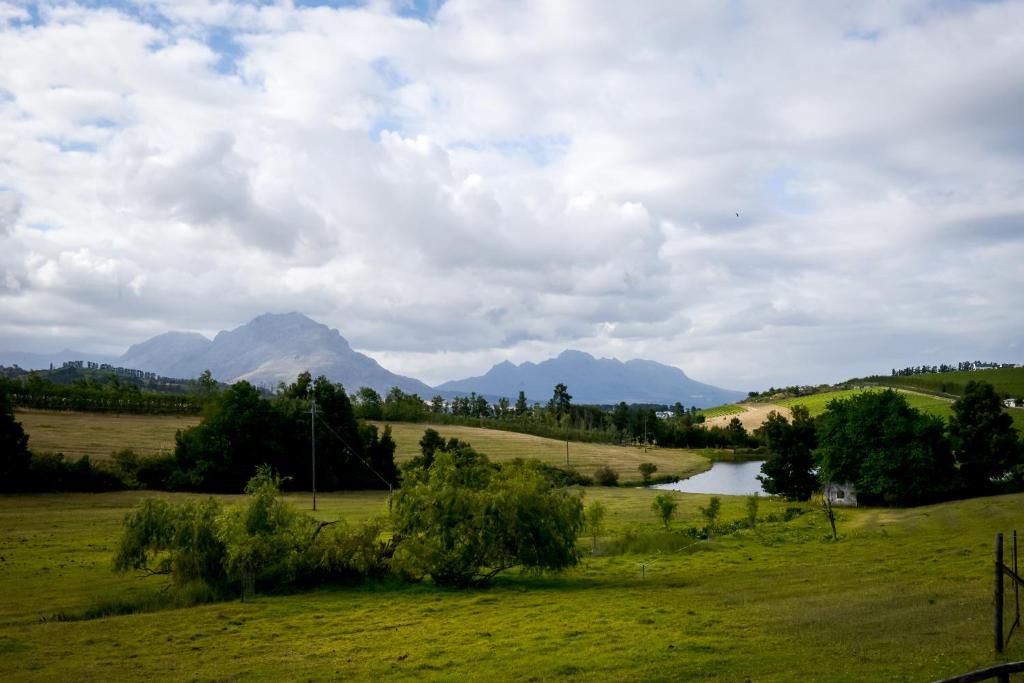 Stellenbosch Hotel | Zebra Cottage and Lodge