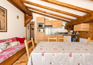 Chaleureux appartement au pied des pistes avec parking et animaux admis - FR-1-505-65