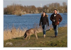 Ferienpark Vislust Haus Antje 2 Niederlande Ijsselmeer