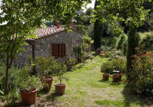 Molino Studio