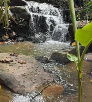 Sado Phong House | ธารน้ำ รีสอร์ท เขาค้อ