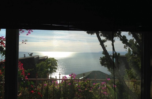 Arch Beach Heights Apartment | 1 BR APT OCEAN-VIEW MONTAGE RESORT MARINE RESERVE AREA 30+ min Sleeps 4