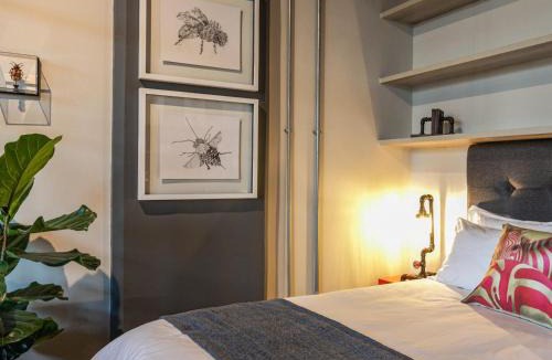 Salt River Apartment | 105 Queens Park