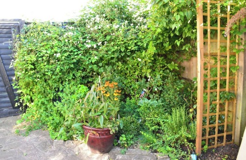 Shottery Cottage | 17th Century 2 Bed Thatched Cottage Close to Stratford Upon Avon. Private Garden
