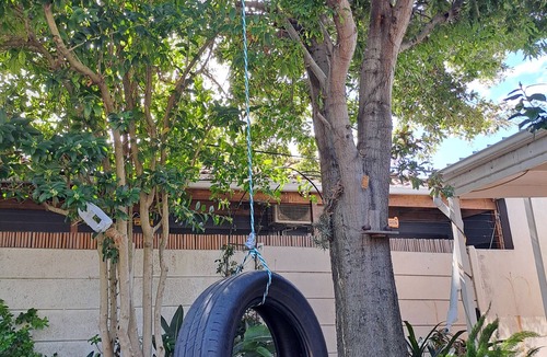 Claremont House | 2-bedroom, pet friendly, pool, in family friendly Cape Town neighborhood