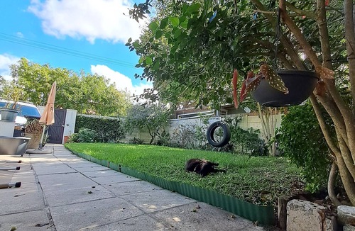 Claremont House | 2-bedroom, pet friendly, pool, in family friendly Cape Town neighborhood