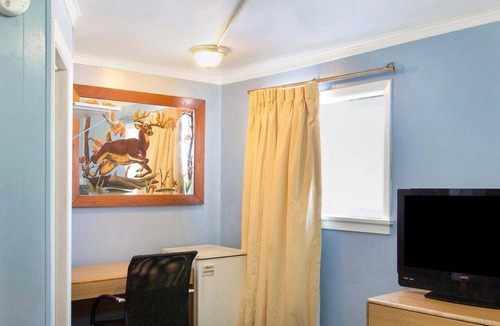 Wilkes-Barre Apartment | 2 Queen Bed|Non-Smoking