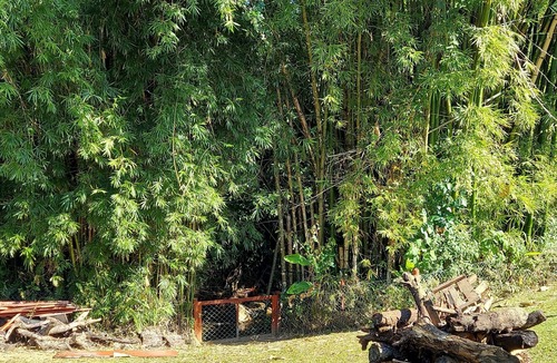 Parque Santo Antonio House | A paradise among mountains, 1 hour from Rio, for up to 60 people.