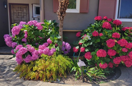 West Mesa House | A pretty home in the popular coastal section of Santa Barbara's Mesa.
