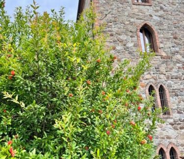 Grizzana Morandi House | Agriturismo Casa di Nàno