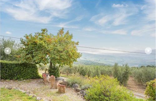 San Macario In Monte Villa | Agriturismo Il Pino