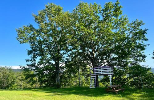 San Marcello Pistoiese House | Agriturismo Il Serrino