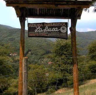 Cutigliano House | Agriturismo La Buca