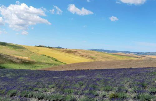 Santa Luce House | Agriturismo Mandriato Organic Farm in the Tuscan Hills