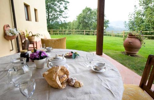 Reggello House | Agriturismo Petrognano