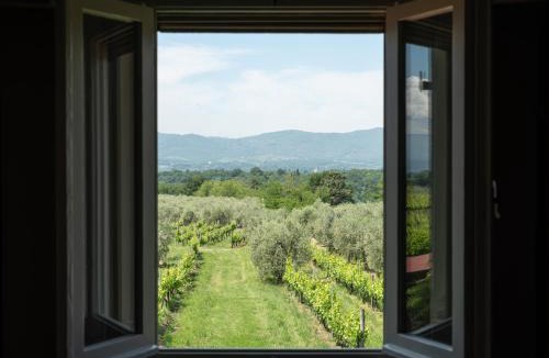 Reggello House | Agriturismo San Jacopo