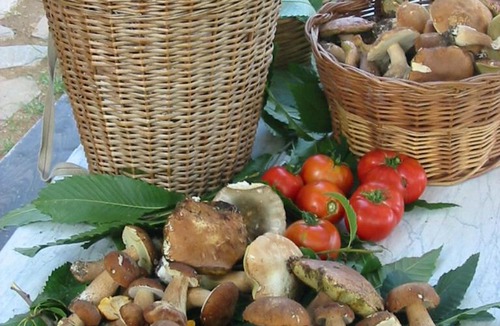 Pozzo House | Agriturismo Saudon