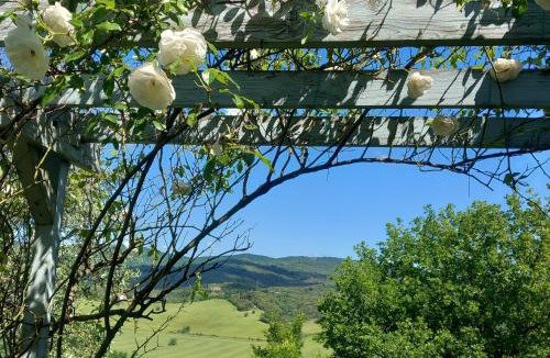 San Macario In Monte Apartment | Agriturismo Timignano