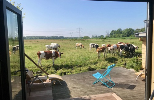 Amsterdam North House | Amsterdam, Tiny House at special location