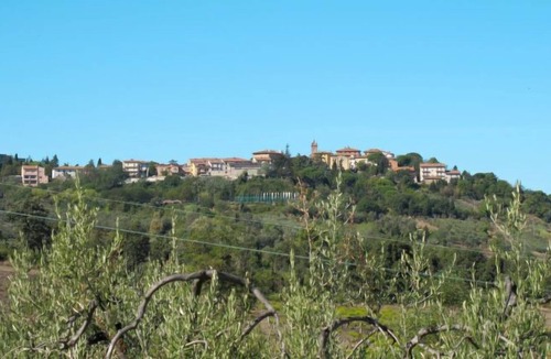 Sughera Apartment | Apartment Podere Sant'Anna, Girasole in Montaione - 4 persons, 2 bedrooms