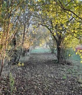 Reggio nell'Emilia Apartment | Appartamento Bosco in Città