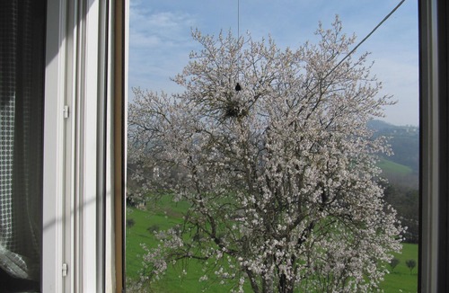 Salsomaggiore Terme Apartment | Appartamento con Splendida Vista Sulle Colline, Parcheggio e Giardino