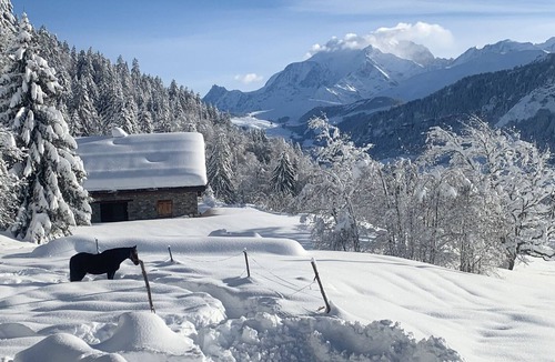 Praz-sur-Arly Apartment | Appartement Dans un Chalet à la Montagne Avec Très Belle vue sur le Mont-blanc