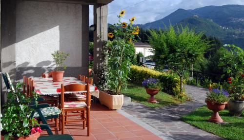 Camporgiano Apartment | B&B Da Franca