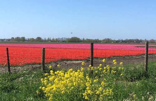 Wervershoof Bed & Breakfast | B&B De Kamer