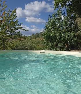 Capolona Bed & Breakfast | B&B Lavanda e Rosmarino