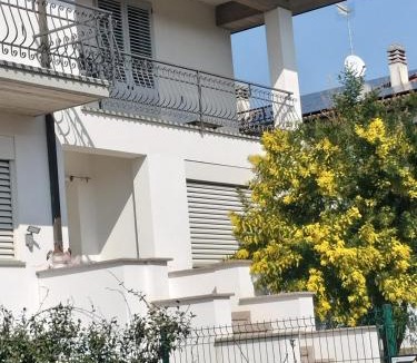 Imola Bed & Breakfast | B & B Le Mimose