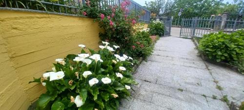 Sant'Agata Feltria Apartment | B&B Leonda