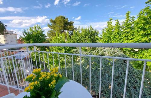 Riccione Bed & Breakfast | B&B Riccione SENZA PENSIERI